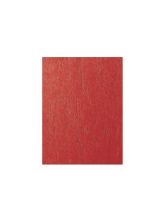   Hátlap, A4, 250 g. matt bőrhatású 100 db/csomag, Fornax, piros