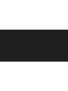 StazOn bélyegzőpárna, fekete