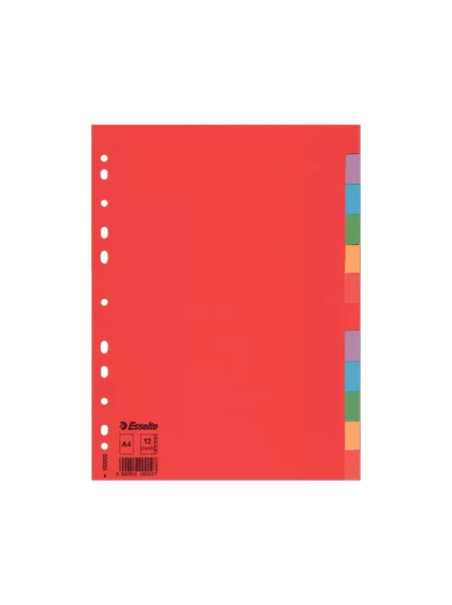 Regiszter A4, 12 részes karton Esselte Economy színes