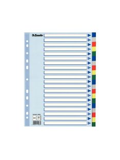 Regiszter műanyag A4, 20 részes Esselte