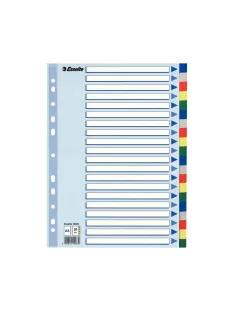 Regiszter műanyag A4, 20 részes Esselte