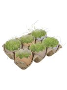 Műanyag tojások tartóban, feltörve, 5x4cm, vegyes, 6 db