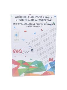 Etikett címke, 105x42,4mm, 100 lap, 14 címke/lap EVO
