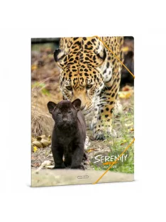 Ars Una Serenity-Jaguar A/4 gumis dosszié