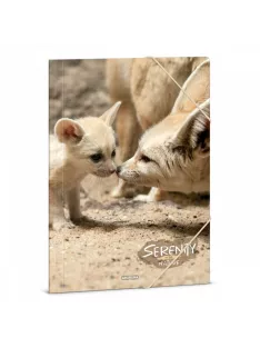 Ars Una Serenity-Desert fox A/4 gumis dosszié
