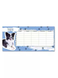 Ars Una Cuki állatok-Border collie órarend