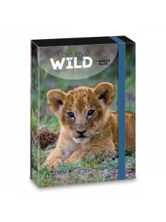   Ars Una Máté Bence The Eyes of the Wild - Lion A/4 füzetbox