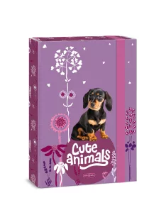 Ars Una Cute Animals-puppy A/4 füzetbox