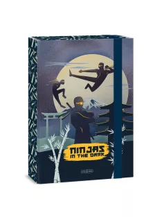 Ars Una Ninjas in the dark A/4 füzetbox