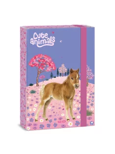 Ars Una Cute Animals-Horse A/4 füzetbox