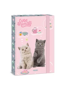 Ars Una Cute animals-tea party A/4 füzetbox