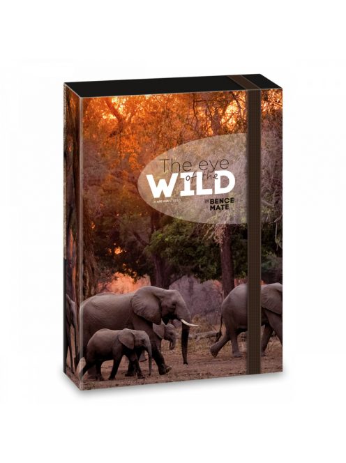 Ars Una Máté Bence The Eyes of the Wild A/5 füzetbox