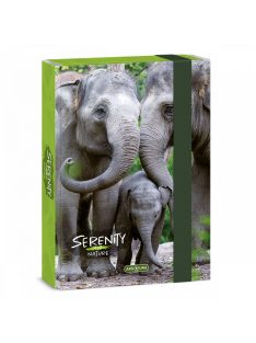 Ars Una Serenity-Elephant A/5 füzetbox