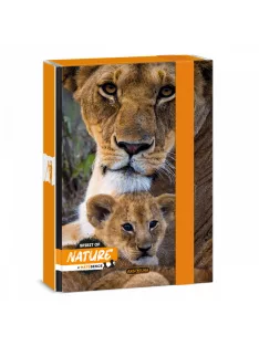 Ars Una Máté Bence-Lion A/5 füzetbox