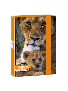 Ars Una Máté Bence-Lion A/5 füzetbox