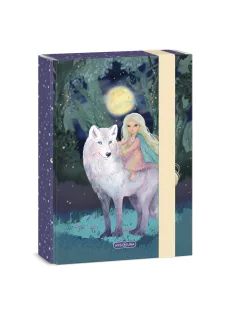 Ars Una Northern Lights A/5 füzetbox