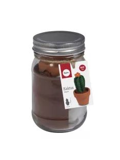 Barkácscsomag: kaktusz, 5cm átm.,10cm, üveg 1 db
