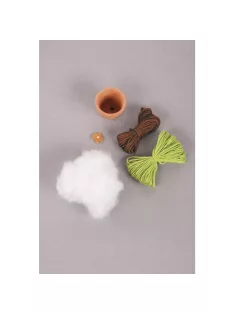 Barkácscsomag: gömbkaktusz, 4,5cm átm.,9cm, üveg 1 db