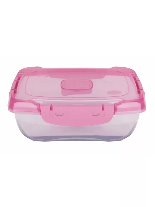 Ételtároló doboz 1 literes csatos és szelepes mikrós-fagyasztós_lányos színek
