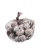 Fenyőtobozok, fehér, vegyes, 2,5-6 cm, 25 db