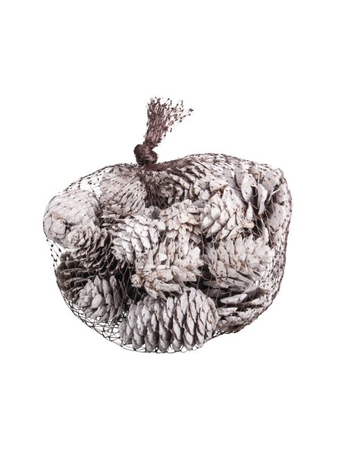 Fenyőtobozok, fehér, vegyes, 2,5-6 cm, 25 db
