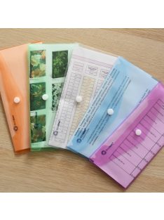   Irattartó tasak DL 'csekk' patentos PP Bluering® transzparens piros