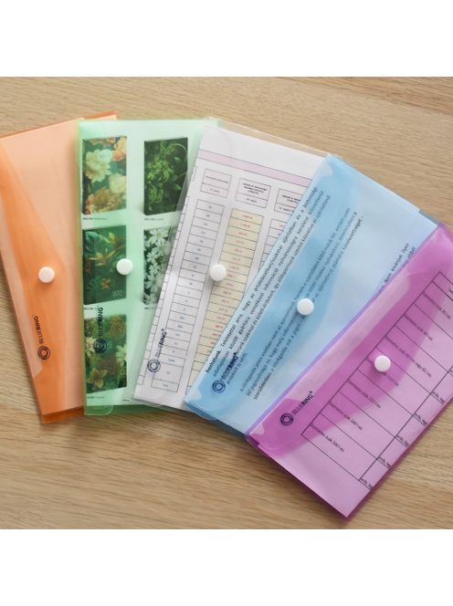 Irattartó tasak DL 'csekk' patentos PP Bluering® transzparens piros