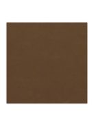 Világos magvú scrapbookpapír, csokoládé, 30,5x30,5 cm, 216g/m2