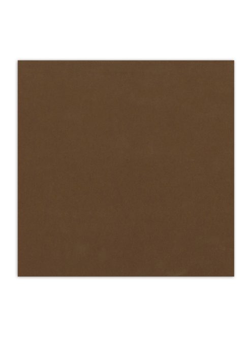 Világos magvú scrapbookpapír, csokoládé, 30,5x30,5 cm, 216g/m2
