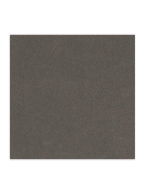 Világos magvú scrapbookpapír, acélszürke, 30,5x30,5 cm, 216g/m2