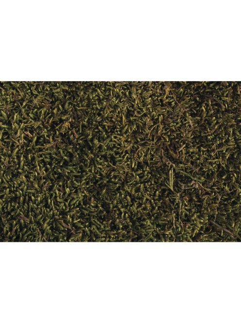 Lapos moha, szárított, csom.100 g