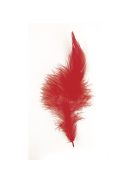 Trendyfeder, rot, 10-15 cm, SB-Btl. 2 g