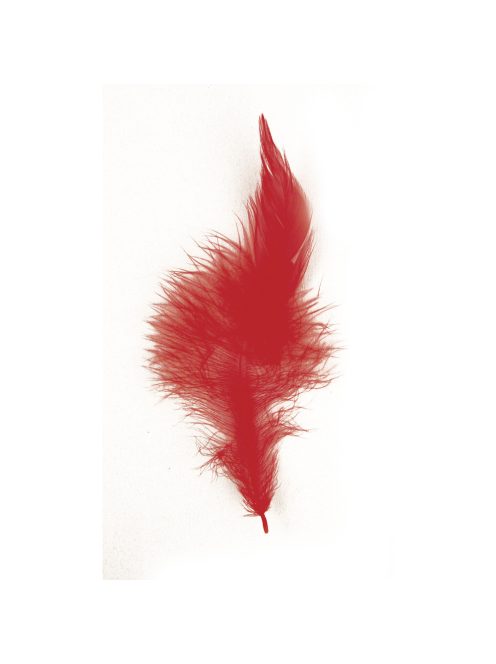 Trendyfeder, rot, 10-15 cm, SB-Btl. 2 g