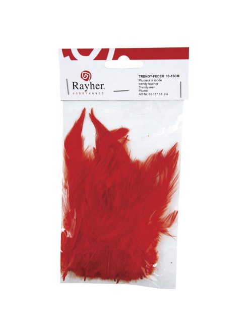 Trendyfeder, rot, 10-15 cm, SB-Btl. 2 g