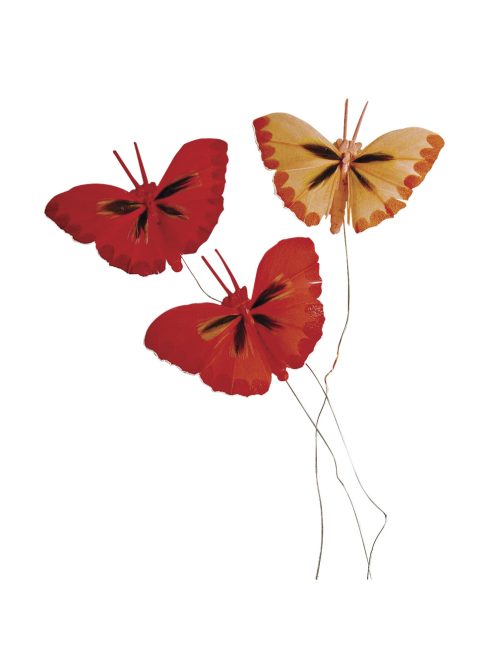 Pillangó tollból, 2 cm, piros árnyalatok, csom. 6 db