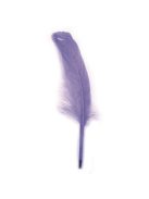 Lúdtoll, violett, 16-20 cm, 8 db