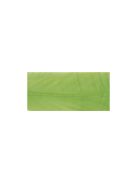 Lúdtoll, hárszöld, 16-20 cm, 8 db