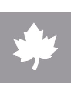 Mintalyukasztó: juharlevél, 2,54 cm, (1)