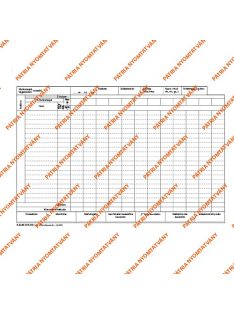   Pátria Nyomtatvány Munkacsapat összesítő 25x3 lapos tömb A/4 fekvő
