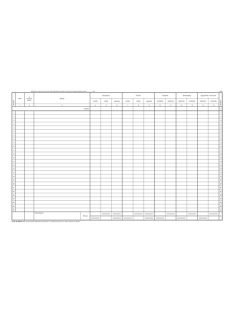   Pátria Nyomtatvány Naplófőkönyv a számviteli törvény szerinti egyes egyéb szervezetek részére