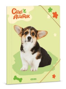 Cuki állatok gumis mappa A/4, welsh corgi