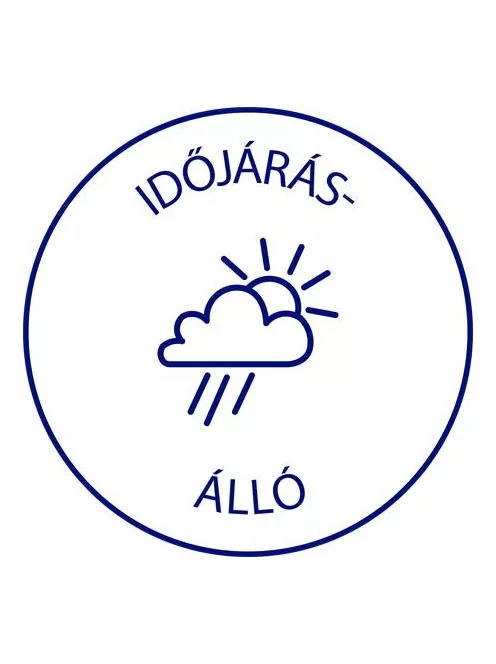 AVERY ZWECKFORM Etikett, 210x297 mm, poliészter, AVERY ZWECKFORM, átlátszó, 25 etikett/csomag