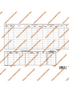   Pátria Nyomtatvány Épületek és egyéb építmények egyedi nyilvántartó lapja A/4 fekvő