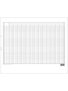   Pátria Nyomtatvány Könyvelési statisztikai gyüjtőív szabadlap 420x295 mm