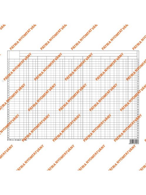 Pátria Nyomtatvány Könyvelési statisztikai gyüjtőív szabadlap 420x295 mm