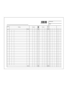 Pátria Nyomtatvány Számlalap 248x210 mm