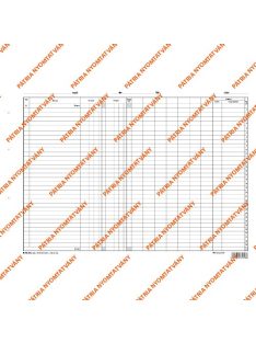 Pátria Nyomtatvány Napló szabadlap A/3 fekvő