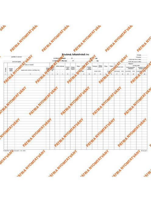 Pátria Nyomtatvány Készletek leltárfelvételi íve szabadlap A/3 fekvő