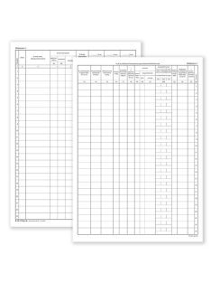   Pátria Nyomtatvány Kimenő számlák és az általános forgalmi adó befizetési kötelezettség nyilvántartó 50 lapos füzet 3 Áfás 240x340 mm