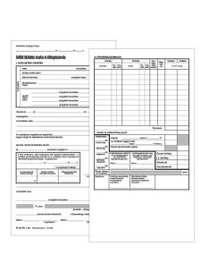   Pátria Nyomtatvány Kiküldetési utasítás (belföldi) 50 lapos tömb 140x285 mm